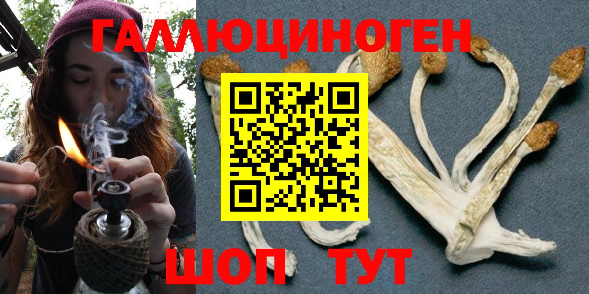A-PVP Когалым