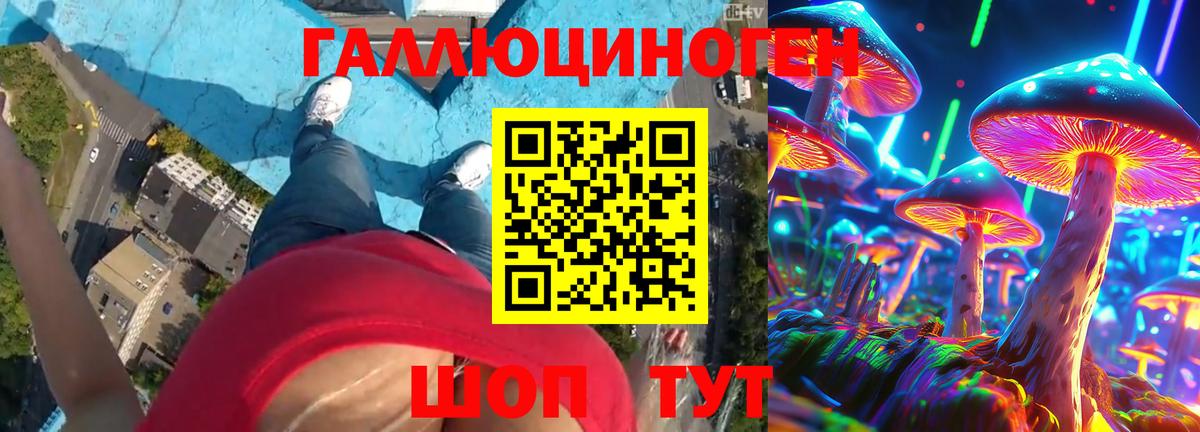 Когалым  Псилоцибиновые грибы GOLDEN TEACHER  Вход с VPN 